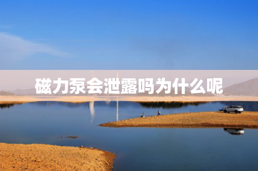 磁力泵會泄露嗎為什么呢
