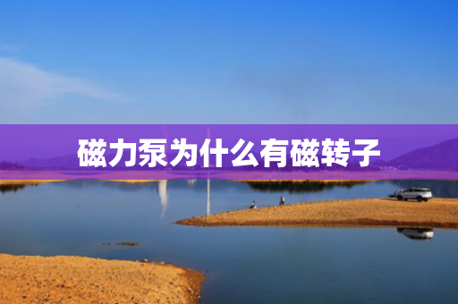 磁力泵為什么有磁轉(zhuǎn)子
