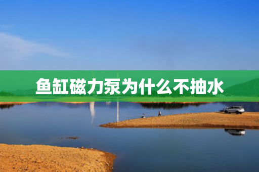 魚缸磁力泵為什么不抽水