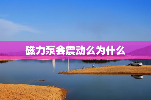 磁力泵會震動么為什么