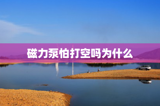 磁力泵怕打空嗎為什么