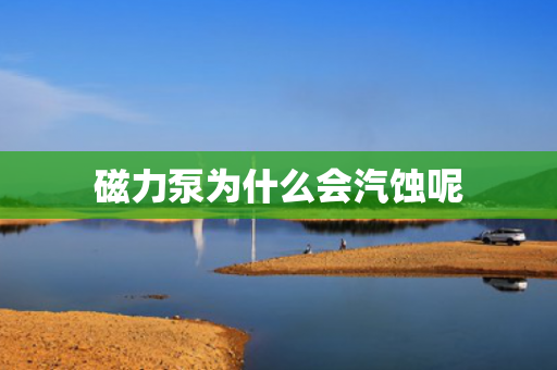 磁力泵為什么會汽蝕呢
