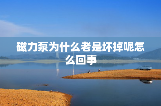磁力泵為什么老是壞掉呢怎么回事