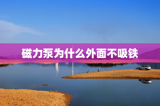 磁力泵為什么外面不吸鐵