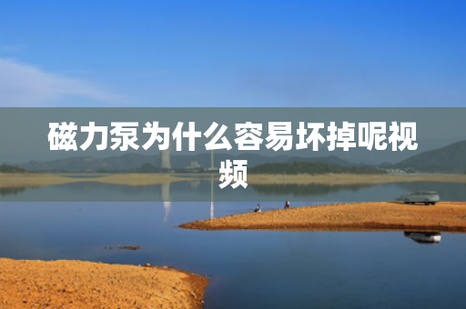 磁力泵為什么容易壞掉呢視頻