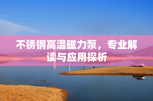 不銹鋼高溫磁力泵，專業(yè)解讀與應用探析