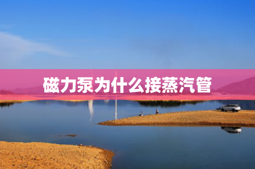 磁力泵為什么接蒸汽管