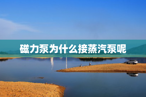 磁力泵為什么接蒸汽泵呢