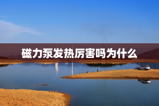 磁力泵發(fā)熱厲害嗎為什么