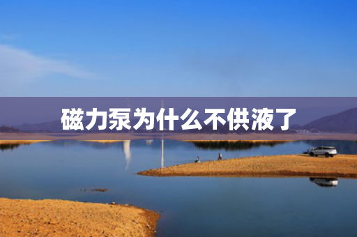 磁力泵為什么不供液了