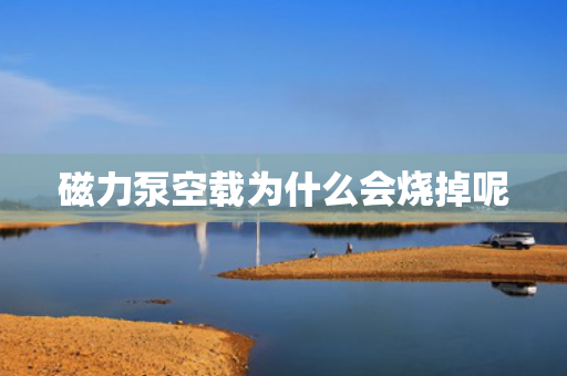 磁力泵空載為什么會燒掉呢