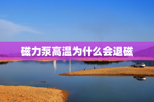 磁力泵高溫為什么會退磁