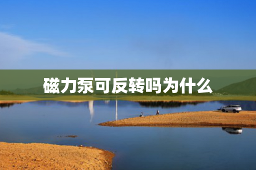 磁力泵可反轉(zhuǎn)嗎為什么