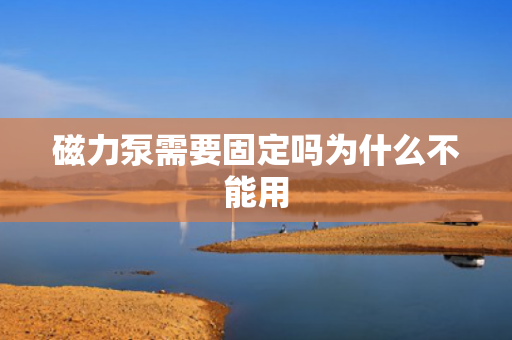 磁力泵需要固定嗎為什么不能用