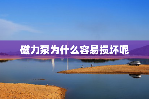 磁力泵為什么容易損壞呢