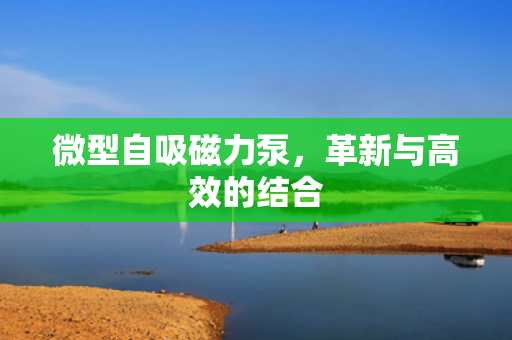 微型自吸磁力泵，革新與高效的結合