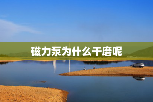 磁力泵為什么干磨呢