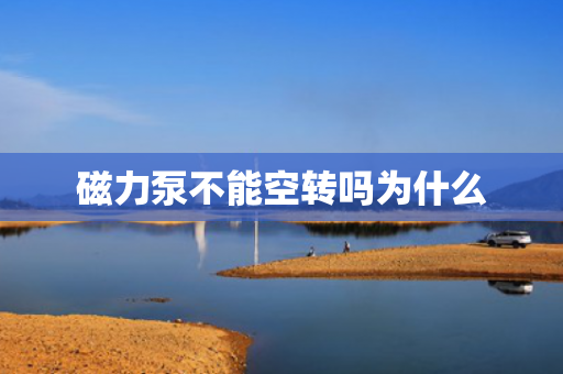 磁力泵不能空轉(zhuǎn)嗎為什么