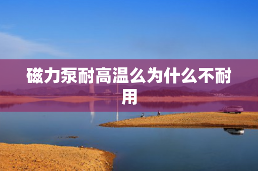 磁力泵耐高溫么為什么不耐用
