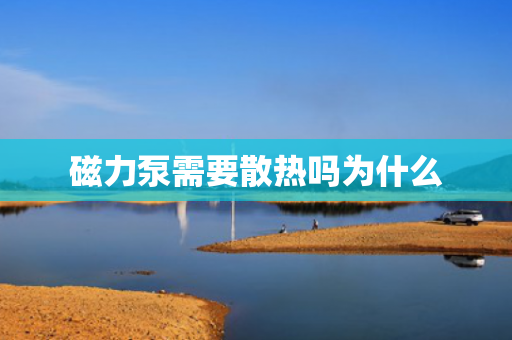 磁力泵需要散熱嗎為什么