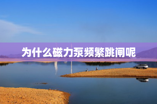 為什么磁力泵頻繁跳閘呢