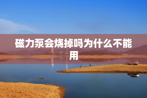 磁力泵會燒掉嗎為什么不能用
