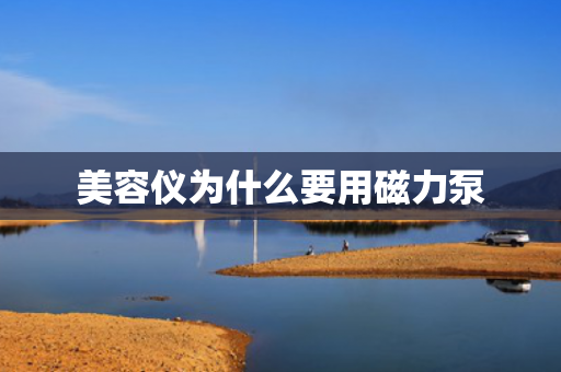 美容儀為什么要用磁力泵