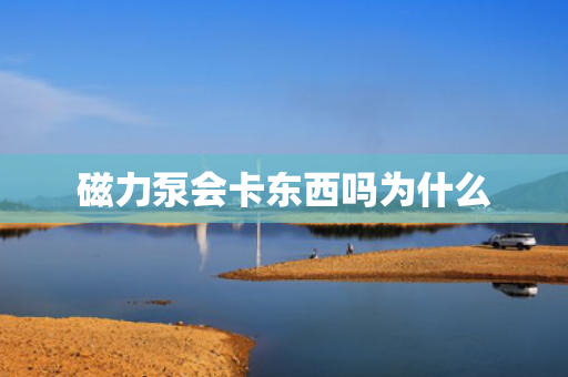 磁力泵會卡東西嗎為什么
