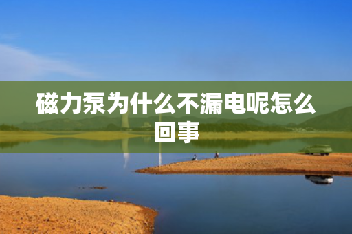 磁力泵為什么不漏電呢怎么回事