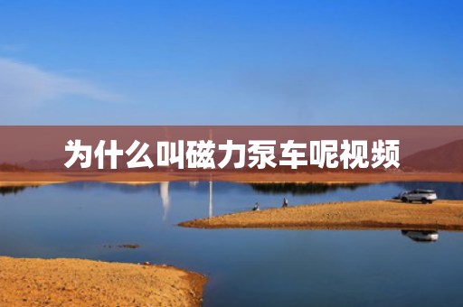 為什么叫磁力泵車呢視頻