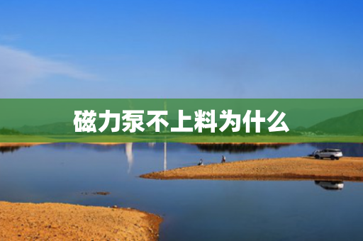 磁力泵不上料為什么