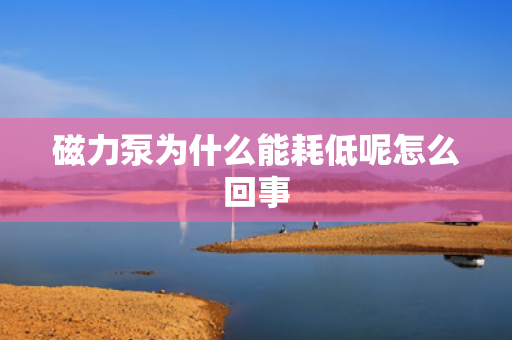 磁力泵為什么能耗低呢怎么回事
