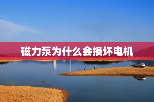 磁力泵為什么會(huì)損壞電機(jī)
