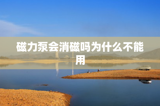 磁力泵會(huì)消磁嗎為什么不能用