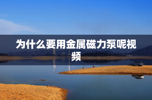 為什么要用金屬磁力泵呢視頻