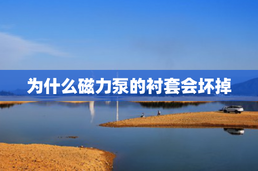 為什么磁力泵的襯套會(huì)壞掉