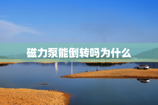 磁力泵能倒轉(zhuǎn)嗎為什么