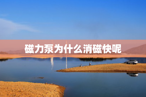磁力泵為什么消磁快呢