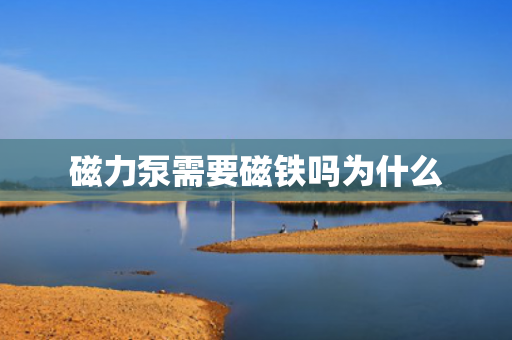 磁力泵需要磁鐵嗎為什么