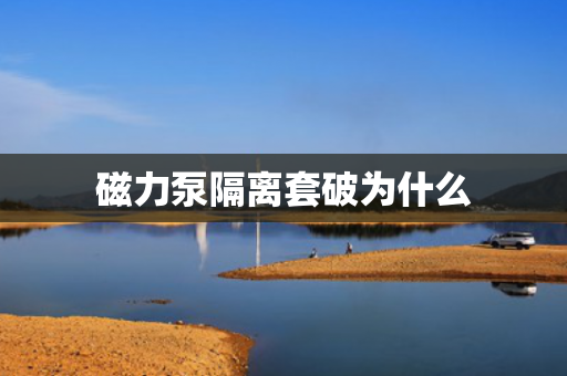 磁力泵隔離套破為什么
