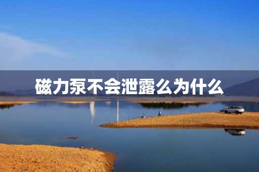 磁力泵不會(huì)泄露么為什么