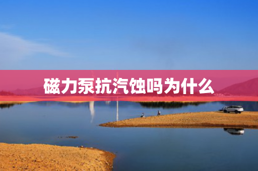 磁力泵抗汽蝕嗎為什么