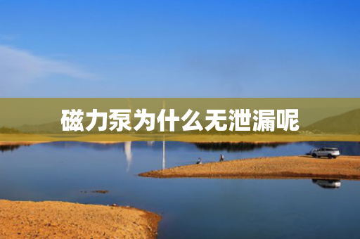 磁力泵為什么無泄漏呢