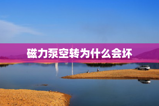 磁力泵空轉(zhuǎn)為什么會(huì)壞