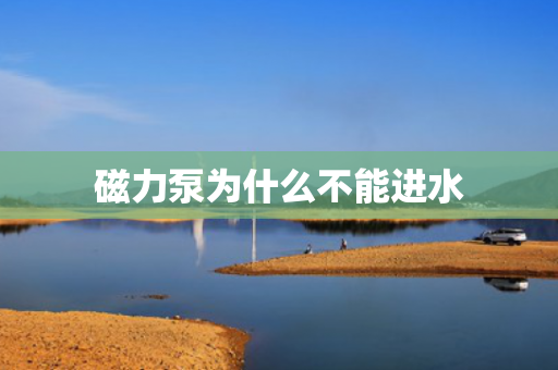 磁力泵為什么不能進(jìn)水