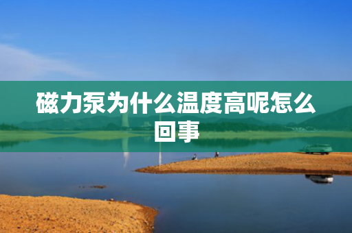 磁力泵為什么溫度高呢怎么回事