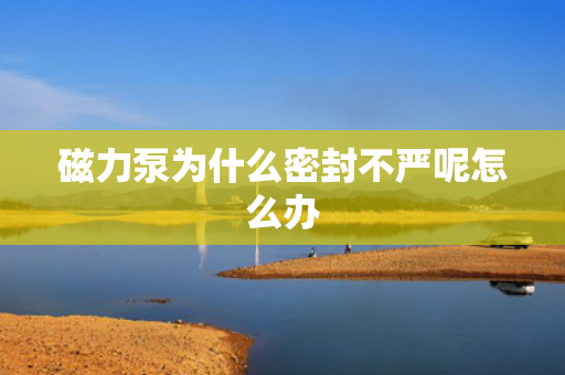 磁力泵為什么密封不嚴呢怎么辦