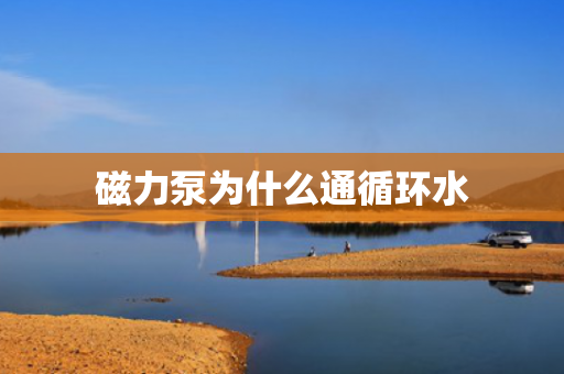 磁力泵為什么通循環(huán)水