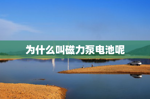 為什么叫磁力泵電池呢