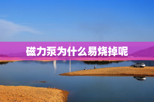 磁力泵為什么易燒掉呢